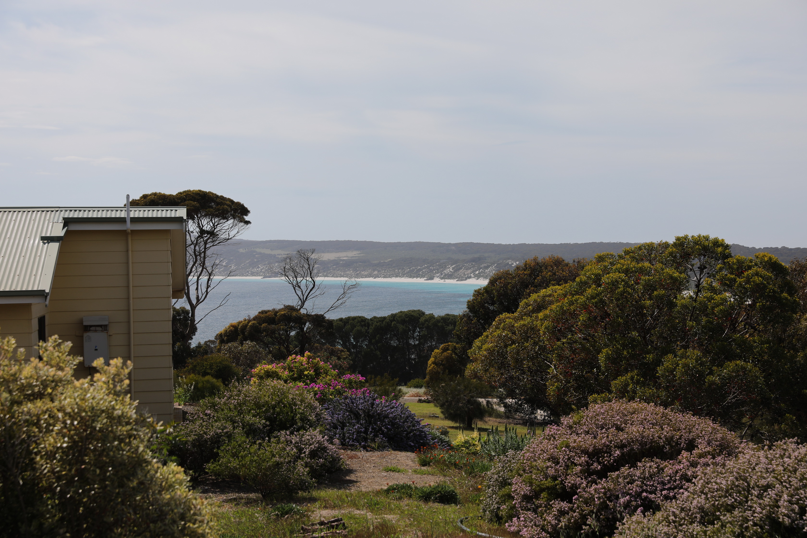 2019 10 04 10 11 15 Canon EOS 5D Mark IV 0001